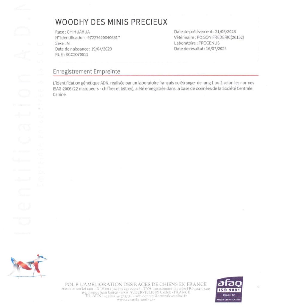 Woodhy Des Minis Précieux