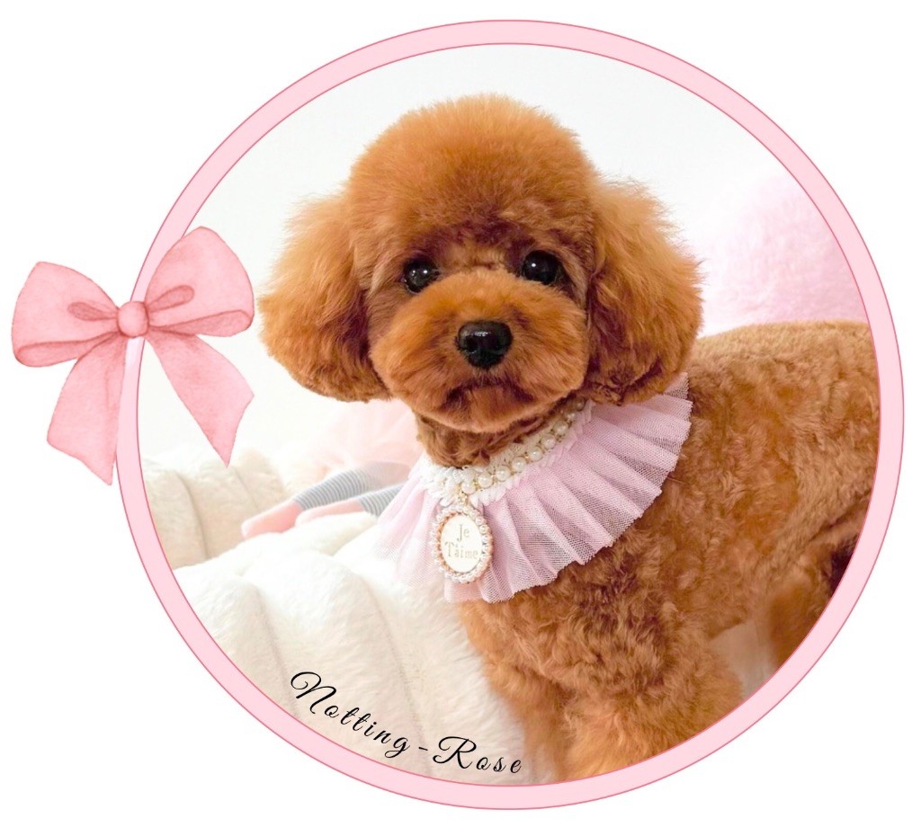 X'victoria Des Minis Précieux