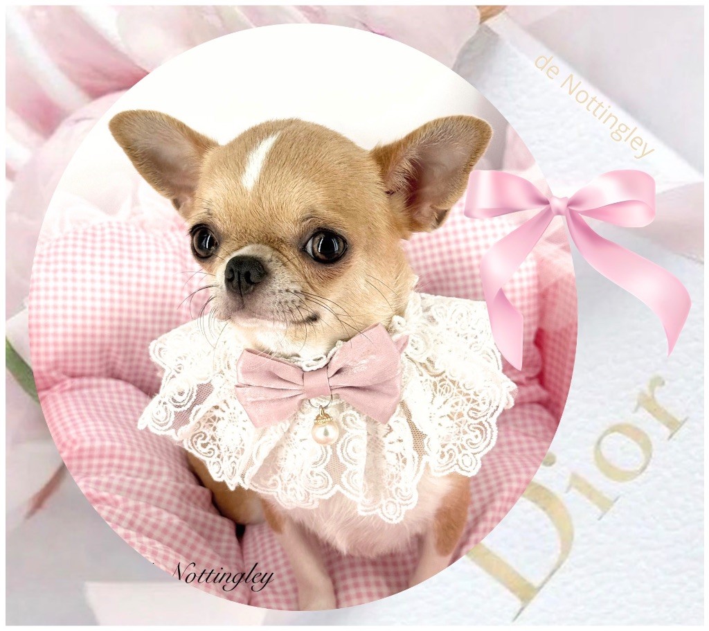 Uberty divine de Nottingley